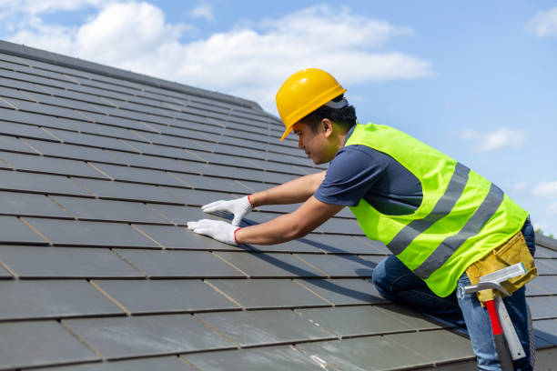 Best Chimney Flashing Repair  in Kaneohe, HI